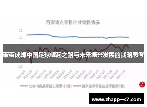破茧成蝶中国足球崛起之路与未来振兴发展的战略思考