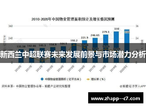 新西兰中超联赛未来发展前景与市场潜力分析