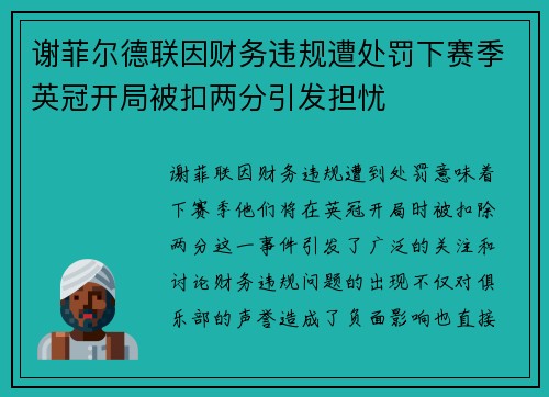谢菲尔德联因财务违规遭处罚下赛季英冠开局被扣两分引发担忧
